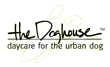 logo footer – no bkgnd