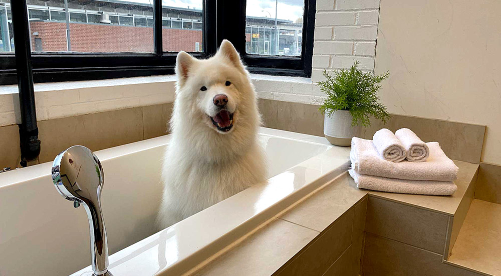 photo-horizontal-73r