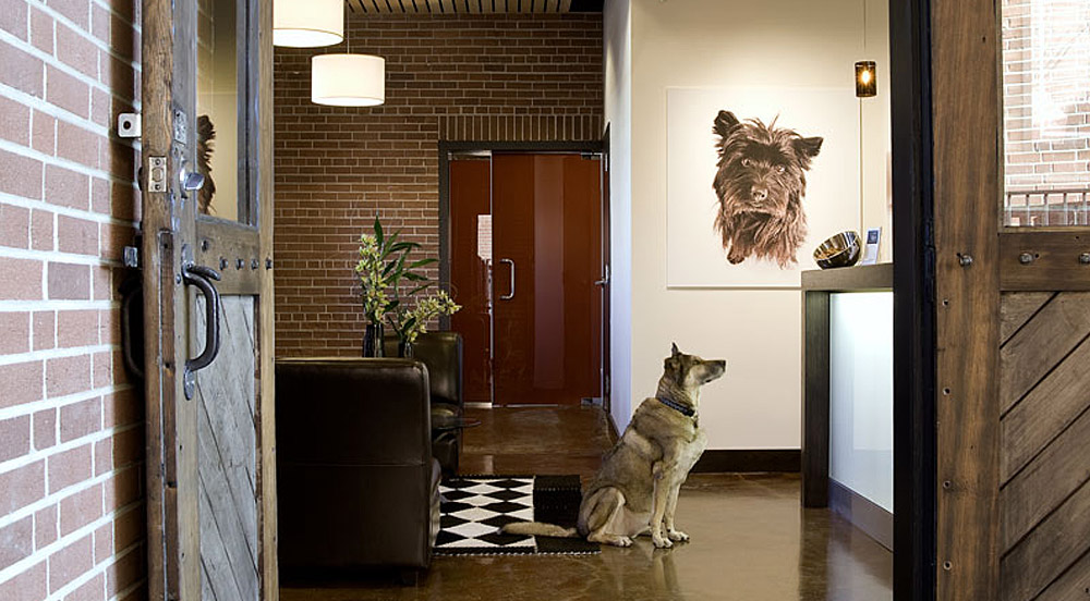 photo-horizontal-74r