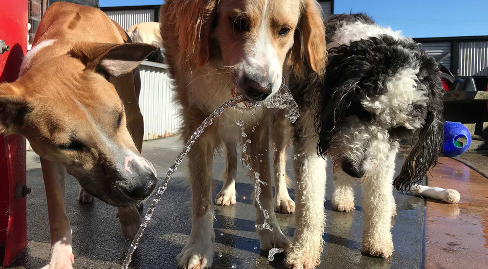 photo-horizontal-77r